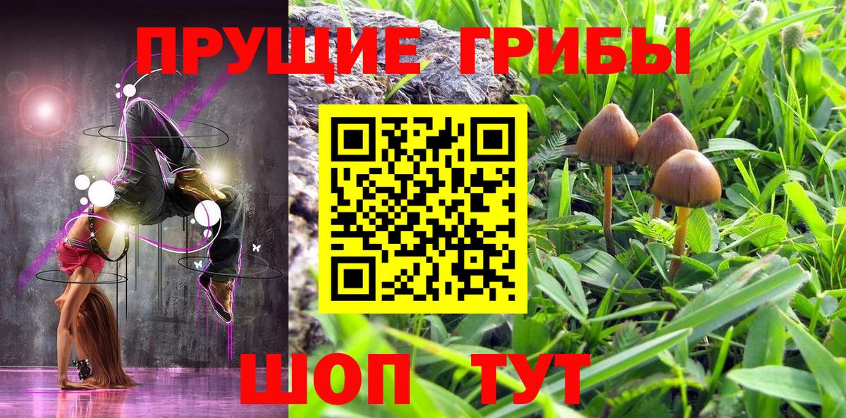 Галлюциногенные грибы Cubensis  Вход с VPN  Тайшет 